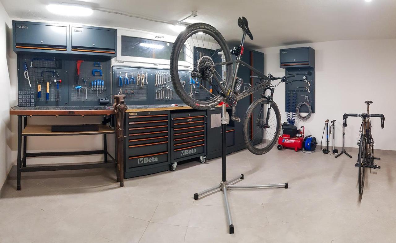 La Mimosa - Bike Friendly Home Rosignano Solvay Zewnętrze zdjęcie